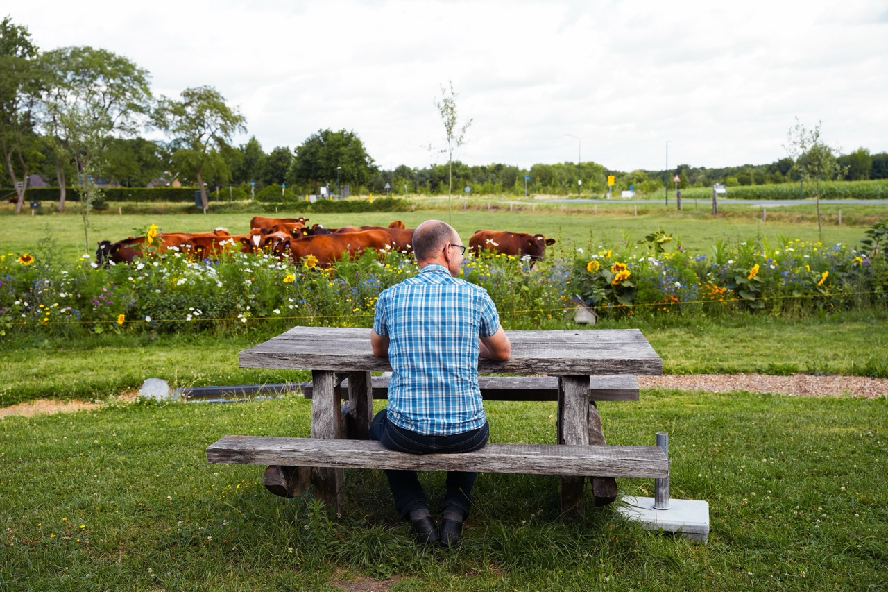 Boer kijkt naar koeien en bloemrijke akkerrand