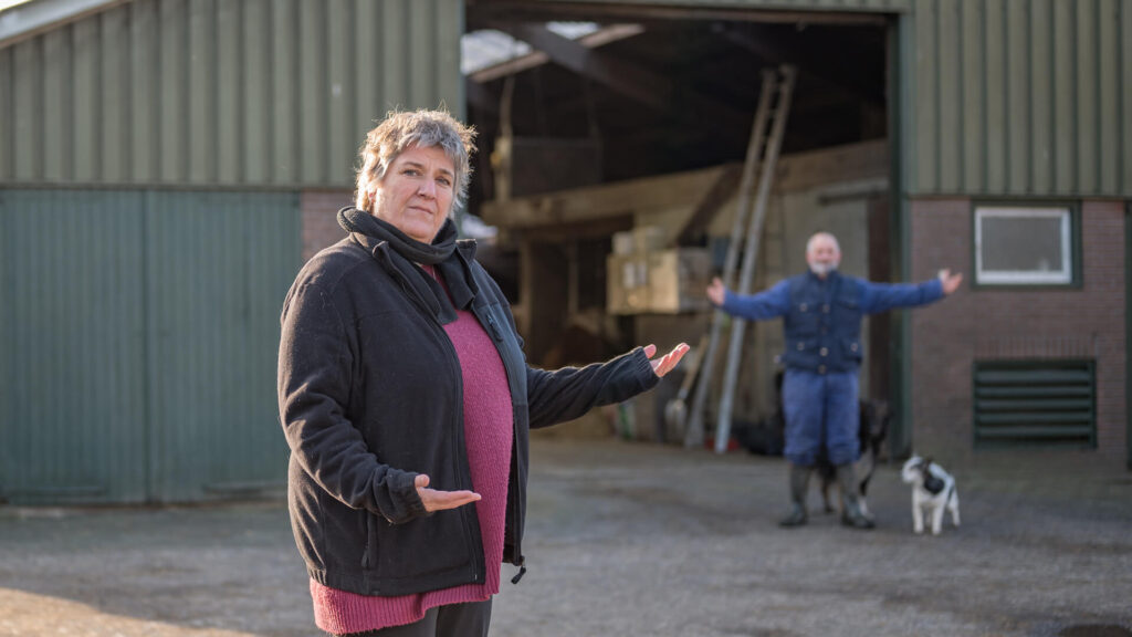 Direct hulp <span class=