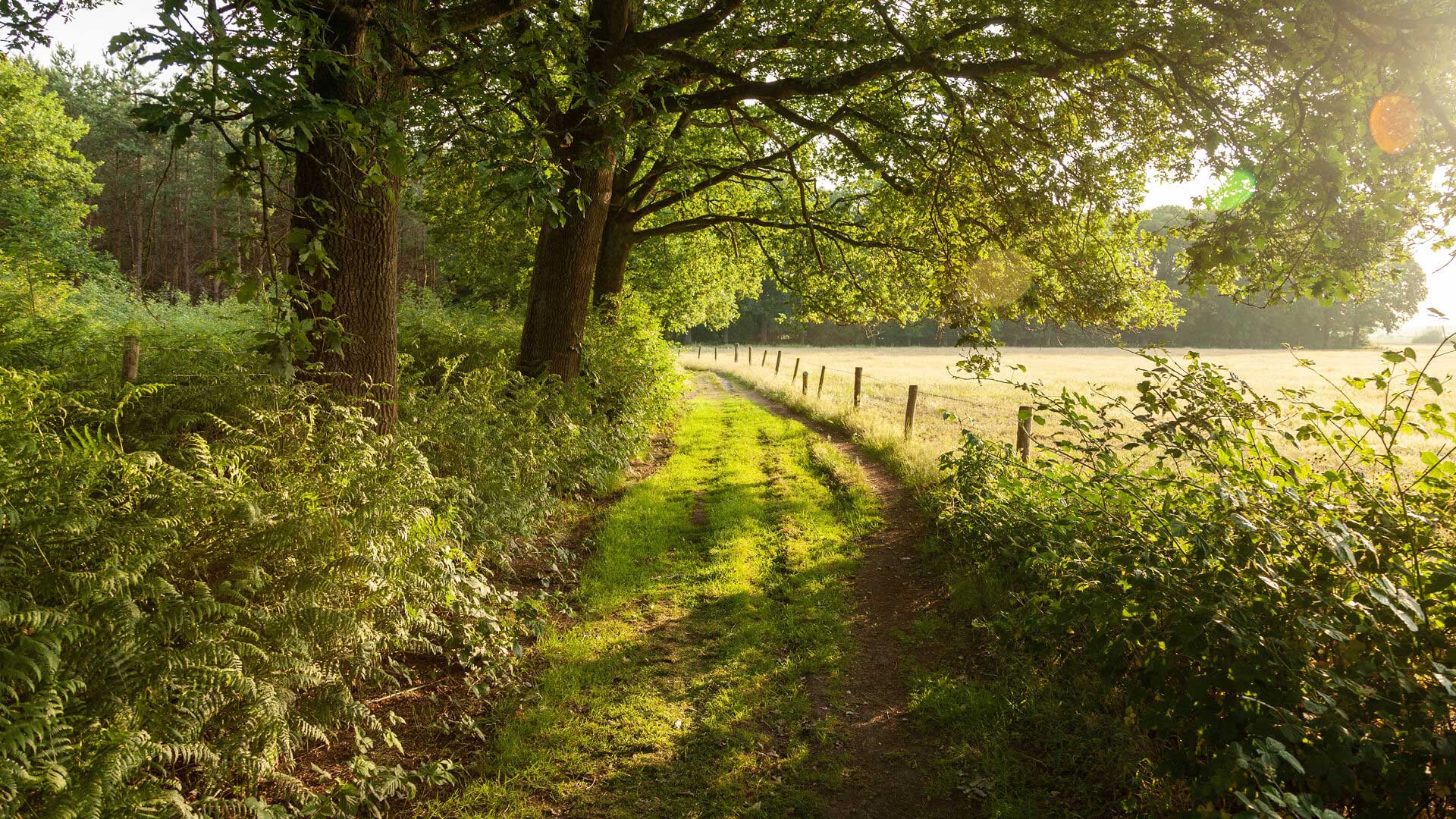 taboer-web-header-landweg