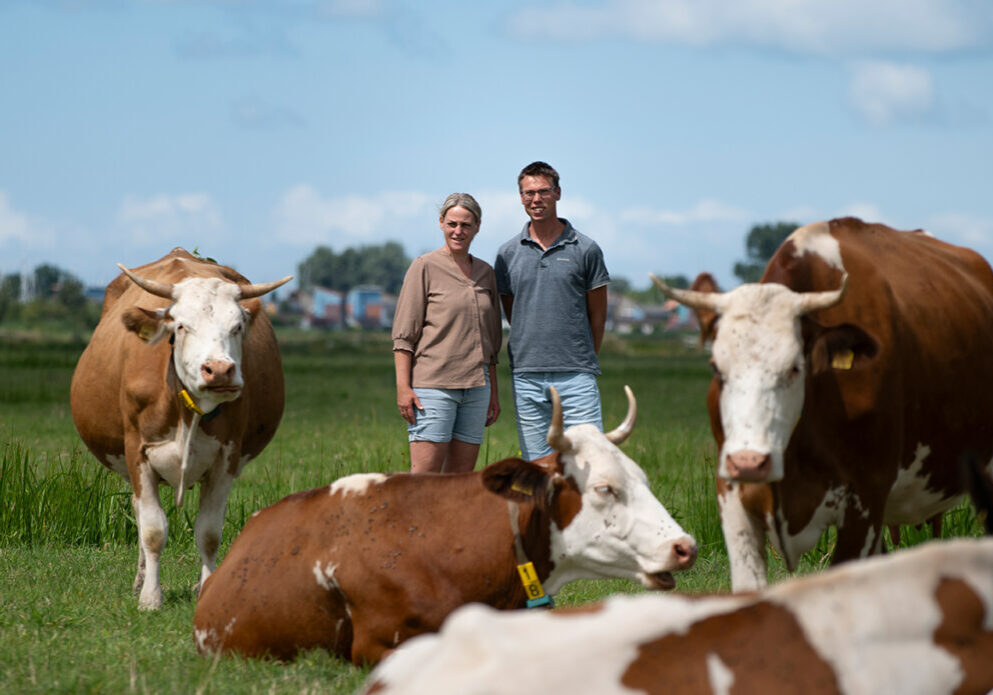 Siebe Klaas en Pytsje Bokma header