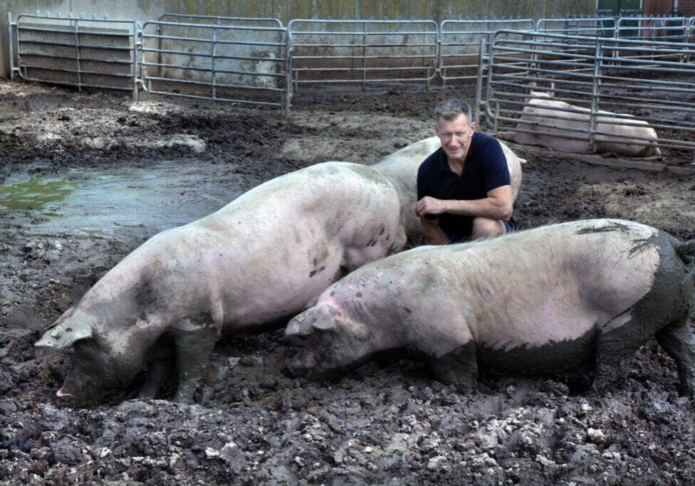 Bunnik Wim van Vulpen Varkenshouder en verhuur van bedrijfsruimtes
Foto William Hoogteyling